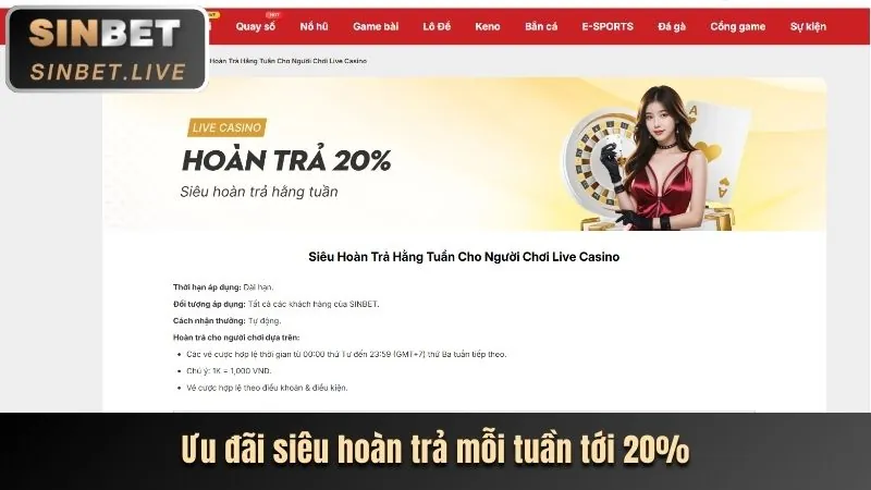 Giới thiệu Điều khoản dịch vụ VNBET